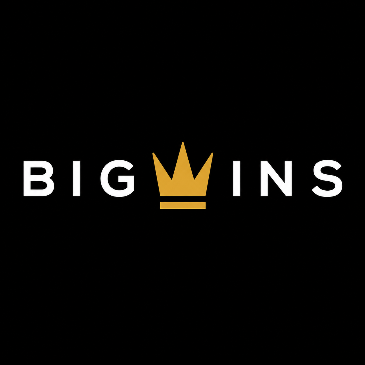 Big Wins Casino  logo