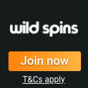 Wild Spins